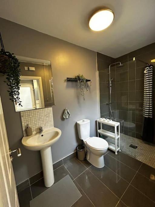 Vibrant City Centre Townhouse With Free Parking Rare Outdoor Patio Belfast Ngoại thất bức ảnh